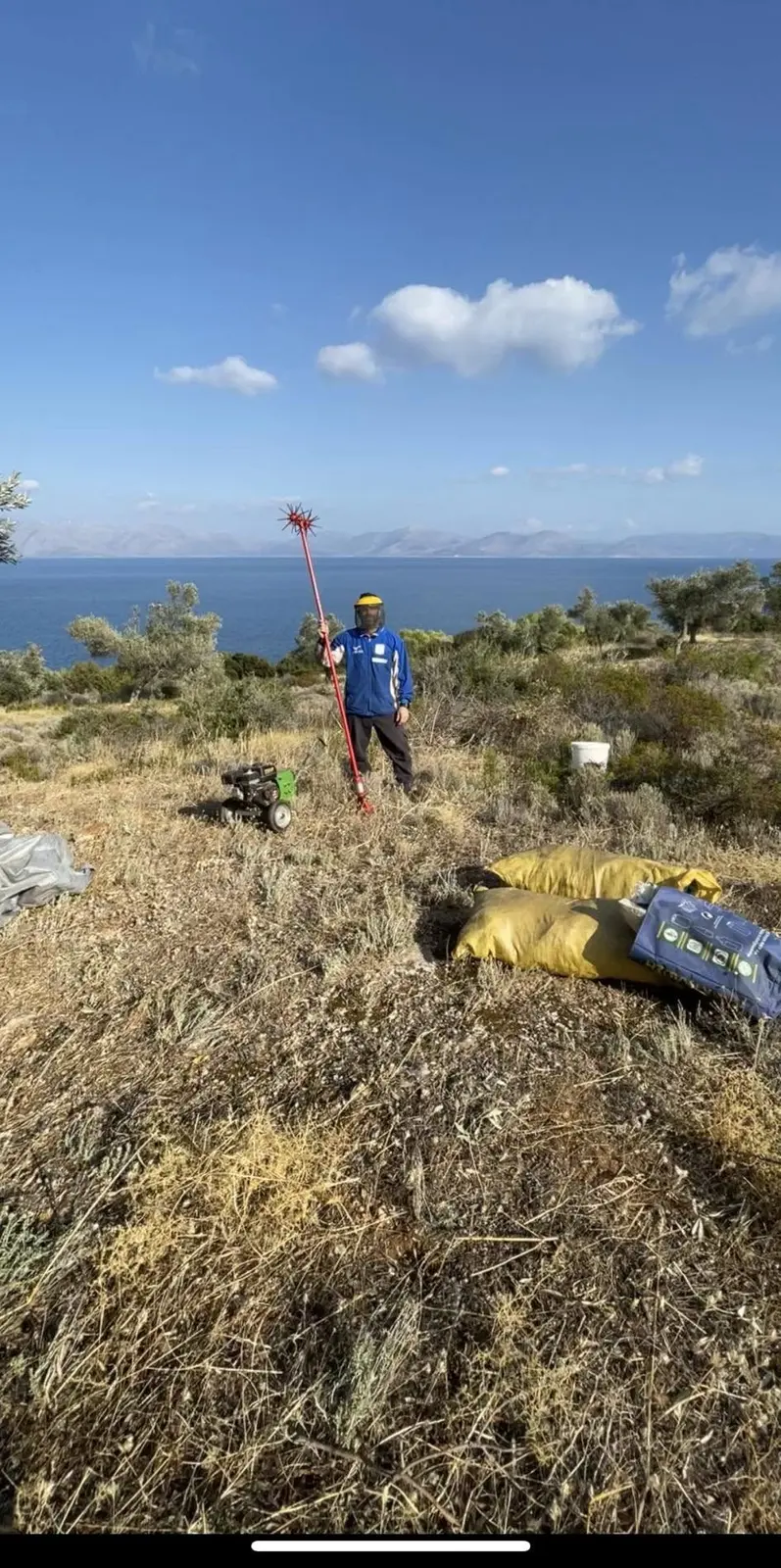 Ο Αριστείδης εργάζεται σε ελαιώνα με ελαιοραβδιστικό